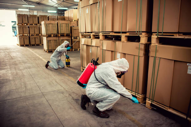 Best Pest Control Near Me  in St Francisville, LA
