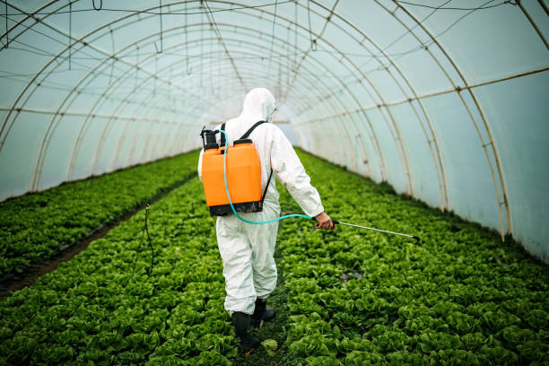 Professional Pest Control in St Francisville, LA