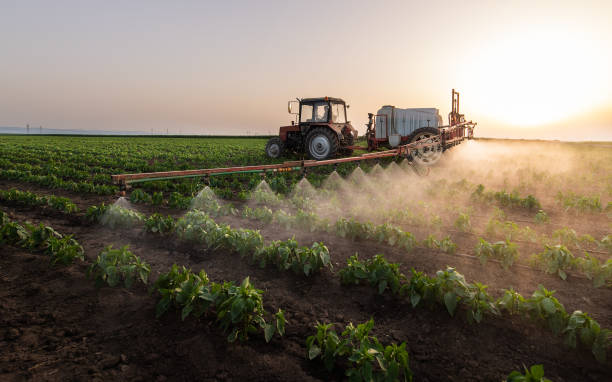 Best Mosquito Control Services  in St Francisville, LA