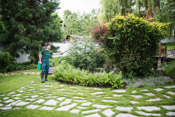 Best Best Pest Control Companies  in St Francisville, LA