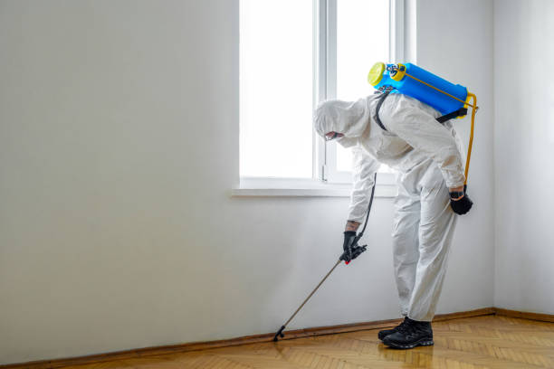 Best Local Pest Control Services  in St Francisville, LA