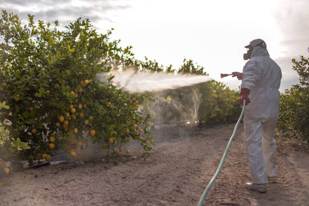 Best Wildlife Control Services  in St Francisville, LA