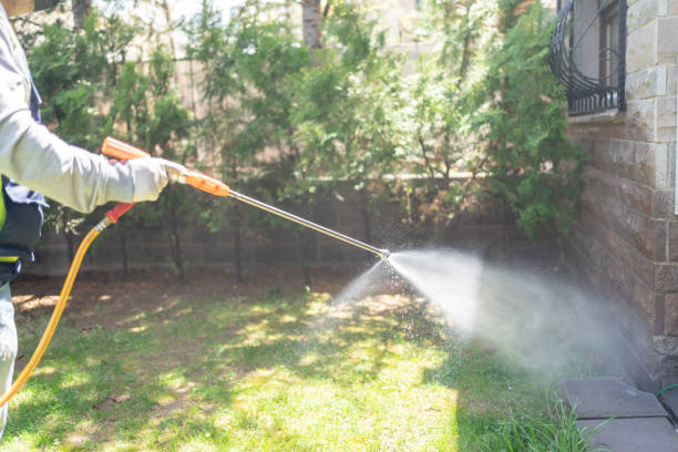 Best Pest Inspection Near Me  in St Francisville, LA